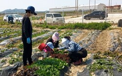 메인사진