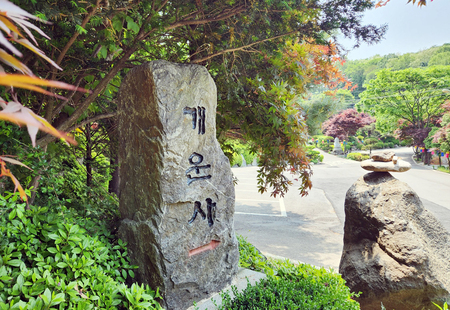 메인사진