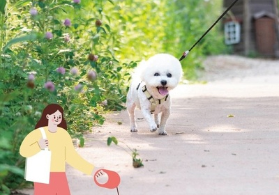 메인사진